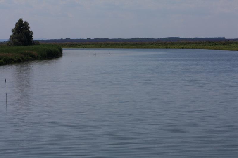 279-Delta del Danubio,7 agosto 2011.JPG